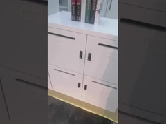 H1200*W900*D450mm ταχυδρομικές θυρίδες 4 γραφείων μετάλλων επίστρωμα σκονών γραφείου πορτών